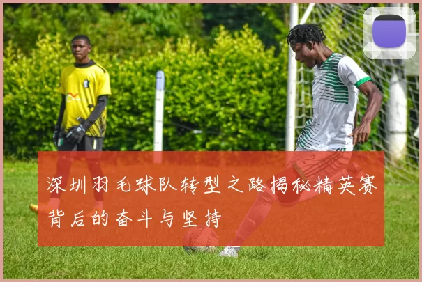 深圳羽毛球队转型之路揭秘精英赛背后的奋斗与坚持