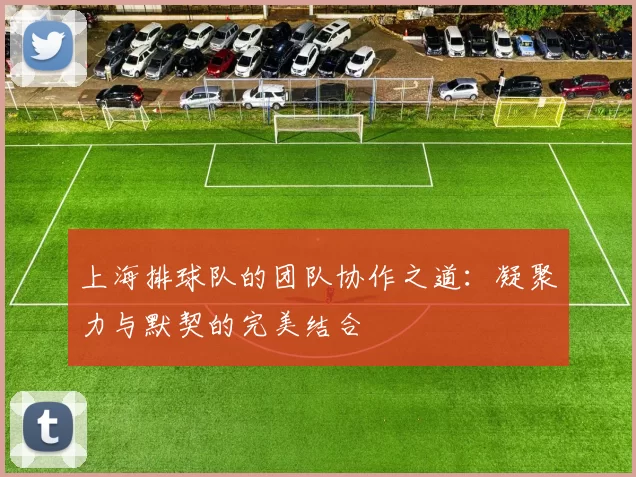 上海排球队的团队协作之道：凝聚力与默契的完美结合