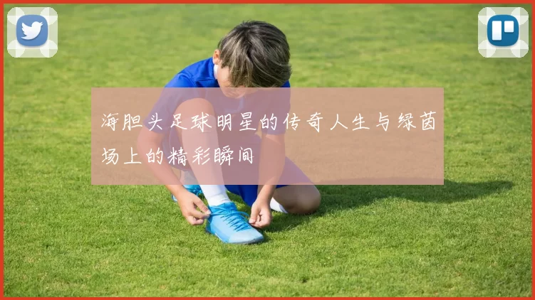 海胆头足球明星的传奇人生与绿茵场上的精彩瞬间