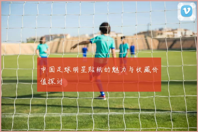 中国足球明星贴纸的魅力与收藏价值探讨