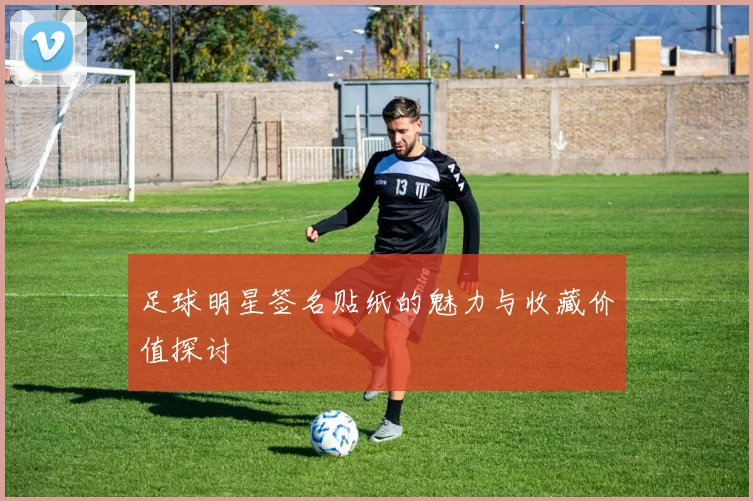 足球明星签名贴纸的魅力与收藏价值探讨
